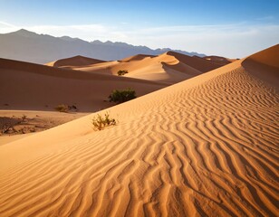 Vintage Desert Landscape