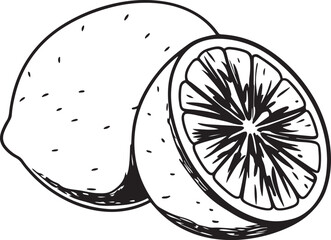  avocado--black-and-white--digital-illustration