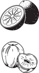  lime--black-and-white--digital-illustration- (1).eps