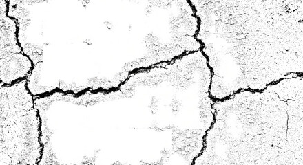 Abstract Black and White Cracked Texture Background