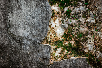 The texture of an old wall that is cracked and covered in moss