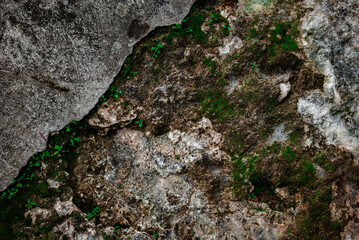 The texture of an old wall that is cracked and covered in moss