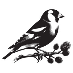 bird on a branch