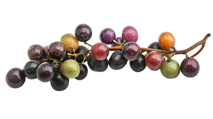 Vivid bunch of grapes with various colors and transparent background create a striking studio shot for food and healthy themes.