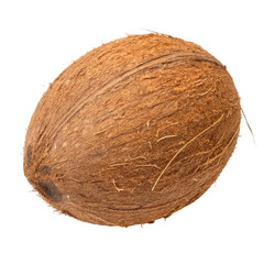coconut on white background