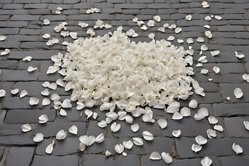 Close-up of natural white rice grains on a black background, showcasing their unique texture