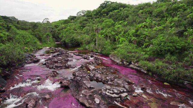 Aerial View of Colorful River and Jungle &ndash; Ca&ntilde;o Cristales, La Macarena, Colombia