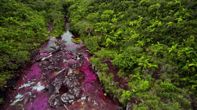 Aerial View of Colorful River and Jungle &ndash; Ca&ntilde;o Cristales, La Macarena, Colombia