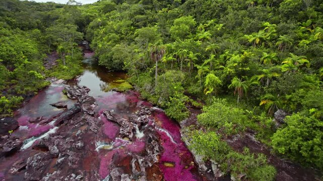 Aerial View of Colorful River and Jungle &ndash; Ca&ntilde;o Cristales, La Macarena, Colombia
