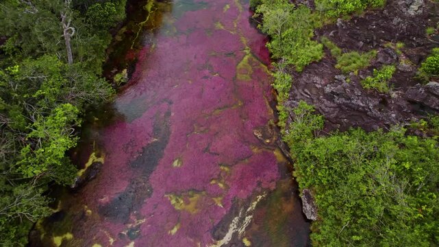 Aerial View of Colorful River and Jungle &ndash; Ca&ntilde;o Cristales, La Macarena, Colombia