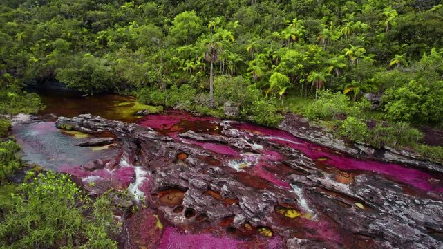 Aerial View of Colorful River and Jungle &ndash; Ca&ntilde;o Cristales, La Macarena, Colombia
