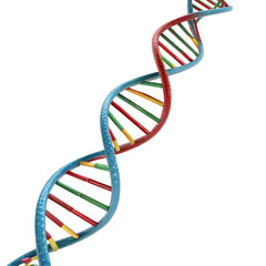 dna helix on white background