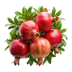 Pomegranates with lush green leaves on display on Transparent background PNG