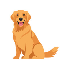 A cute, purebred golden retriever puppy sitting in a studio portrait with a happy expression
