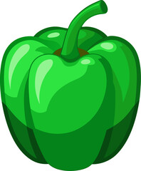 vector illustration of green Bell pepper (Capsicum) 
