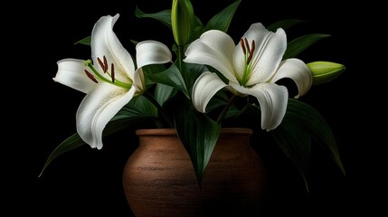 Fototapeta premium Beautiful white lilies blossoming in a rustic clay flower vase
