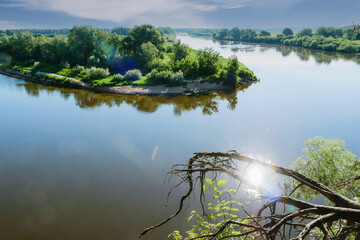 Summer river or lake surrounded by young birch forest