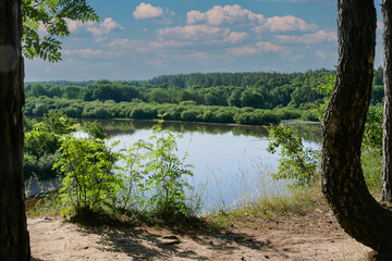 Summer river or lake surrounded by young birch forest