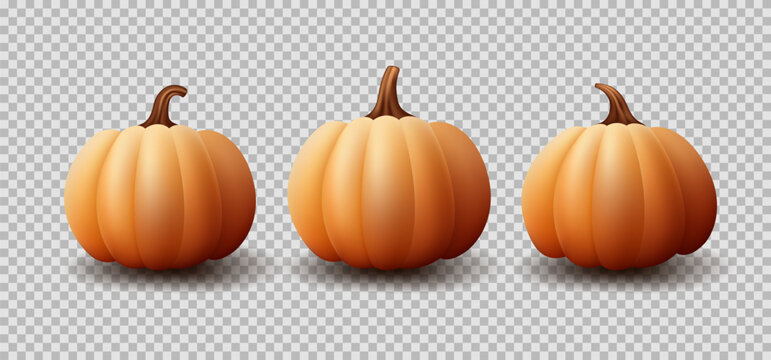 Set of realistic pumpkins. Vector realistic 3d orange pumpkins for autumn events or holiday decoration. Collection of 3d objects. Design elements isolated on checkered background.