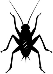 Silhouette of a Cockroach with Long Antennae and Six Legs in a Defensive Stance Against a White Background