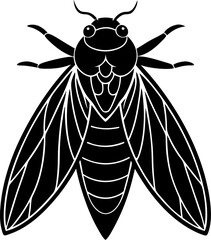 Stylized Black and White Illustration of a Cicada Insect with Detailed Wing Veins and Segmented Abdomen Pattern