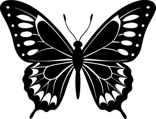 Detailed Black and White Butterfly Illustration with Symmetrical Wings and Intricate Patterns Depicting Graceful Flight