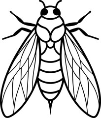 Detailed Line Art of a Bee Depicting its Anatomy, Wings, and Segmented Body on a White Background, a Clear Vector Illustration