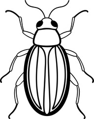 Detailed Line Art Depiction of a Beetle, Revealing its Anatomy with Striking Symmetry and Clean, Uncomplicated Design Elements for Clarity