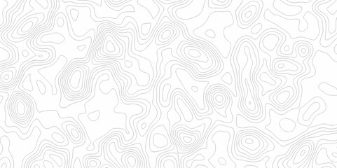 The pattern discovery vector topo map creative discovery White wave grid stripe line topography map. vector geographic contour mounted map background.	