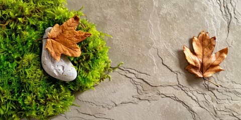 Autumn leaves resting on stone and moss with copy space