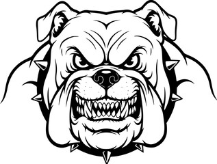 Fototapeta premium an aggressive bulldog with a threatening expression, black and white vector illustration