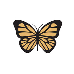 butterfly black yellow