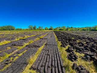 Turf drying in a bog in County Leitrim with stacked peat rows under a bright blue sky