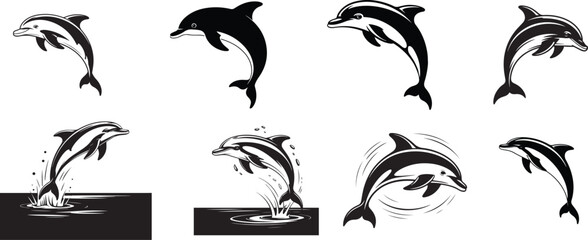 Dolphin Vector Illustration | Black and White Line Art on Blank Background

