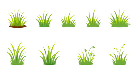 Green grass, Grass field, Lush grass, Grass texture, Grass background, Fresh grass, Realistic grass, Lawn grass, Nature grass, Grassland, Green lawn, Meadow grass, Grass vector, Grass blades, Spring g