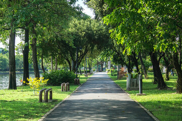 Fresh green lawns in the park. Blur nature bokeh green park trees in morning.