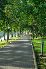 Fresh green lawns in the park. Blur nature bokeh green park trees in morning.