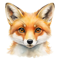 Fototapeta premium Watercolor cute fox face animal illustration isolated on transparent background