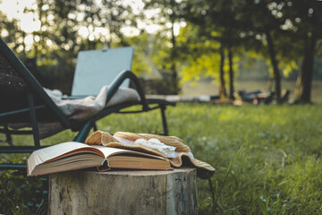 Open book and straw hat on a tree stump in a sunny green garden. A relaxing reading spot with a...