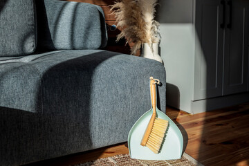 Bright cozy interior with sunlight on a wooden floor, a blue sofa, a mint green dustpan and brush, pampas grass in a ceramic vase, and a stylish grey cabinet with a wooden countertop