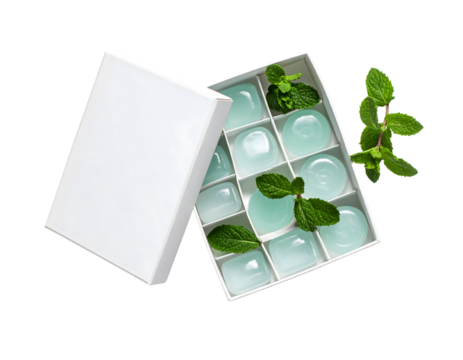 Fresh Minty Gel Cubes in a White Box with Green Mint Leaves