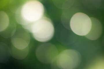 An abstract background with a bokeh effect of green leaves and sunlight. A fresh, natural, and...
