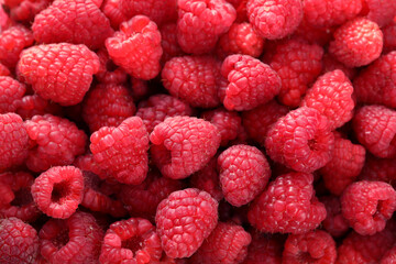 fresh raspberries on background, close up