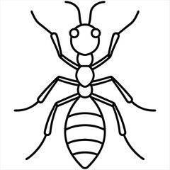 Bold Line Art Ant Illustration: Simple, Clean, and Educational Design