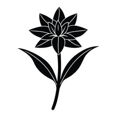 tuberose flower line art for coloring page.