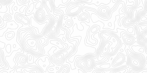 Abstract minimal The pattern discovery vector topo map creative discovery White wave grid stripe line map topography. vector geographic contour mounted map background.	
