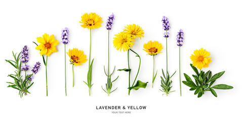 Lavender sprigs and yellow wildflowers photography isolated on white background