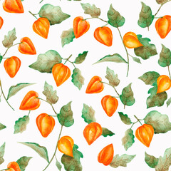 Watercolor pattern with physalis. Botanical autumn pattern.