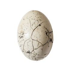Cracked Eggshell on White Background Showcasing Natural Texture