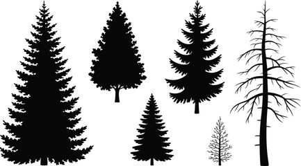 Obraz premium Pine tree and forest silhouette vector collection with various tree shapes for nature, woodland, and park design